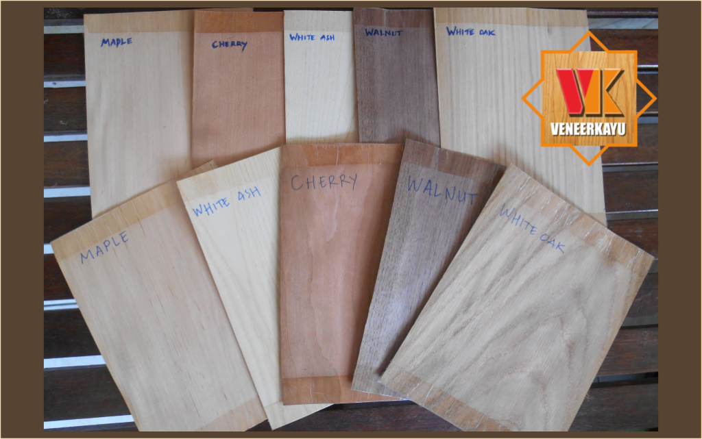 22 Produk Veneer